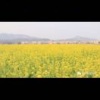 广东惠州秀玲养殖基地的一亩田店铺