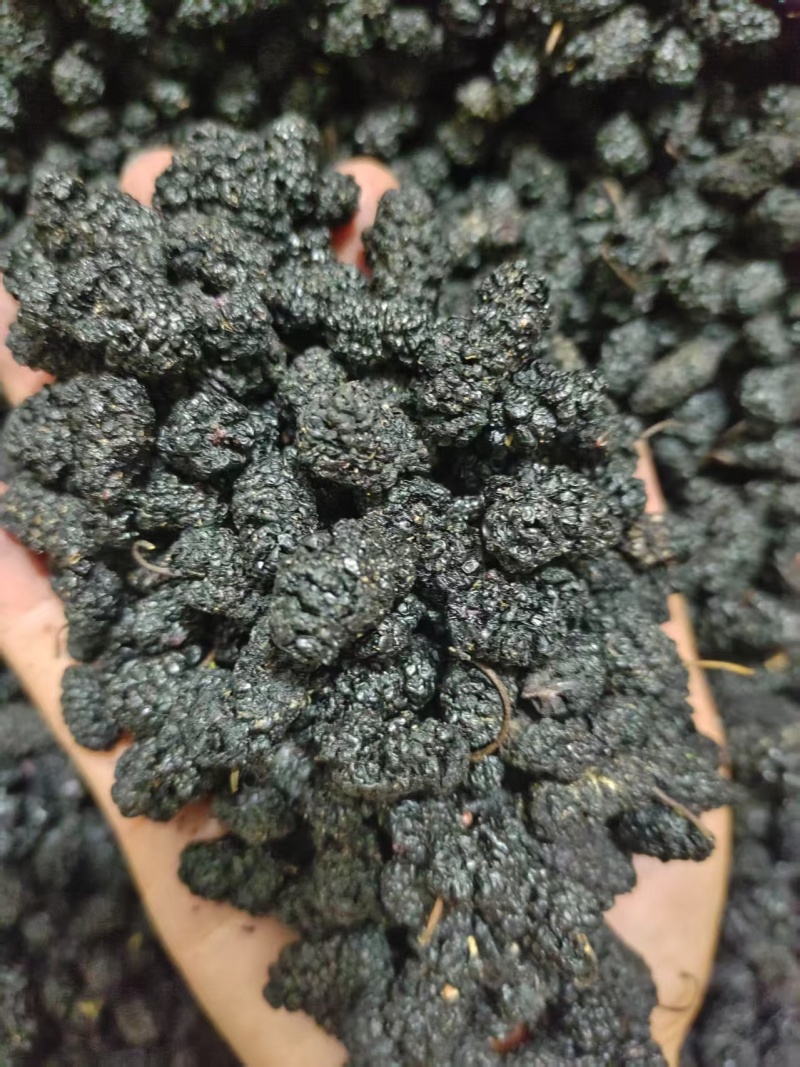 桑葚干产地直销量大质优价格优惠一手货源欢迎咨询采购