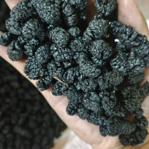 桑葚干产地直销量大质优价格优惠一手货源欢迎咨询采购