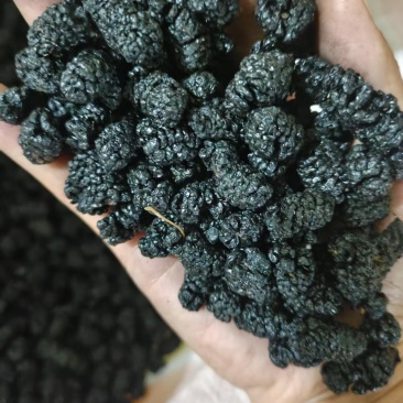 桑葚干产地直销量大质优价格优惠一手货源欢迎咨询采购