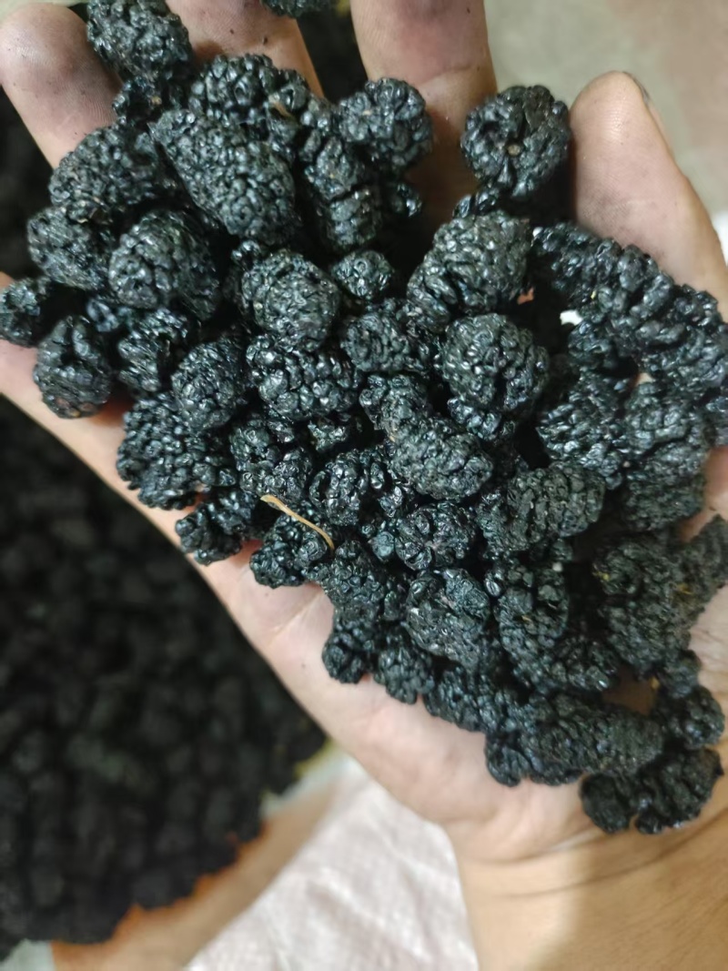 桑葚干产地直销量大质优价格优惠一手货源欢迎咨询采购