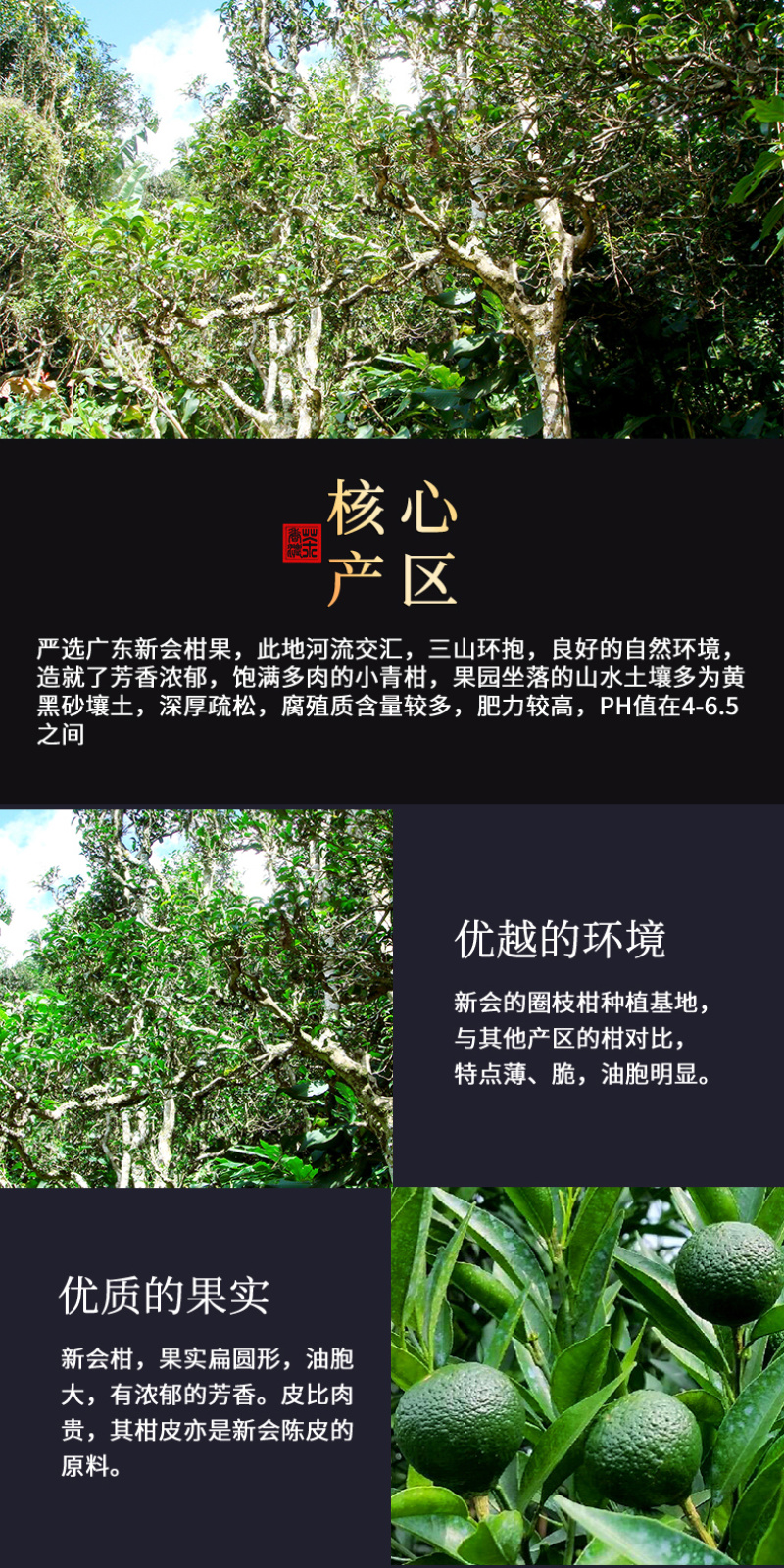 新会小青柑10年陈宫廷陈皮普洱茶叶礼盒装柑普茶600g