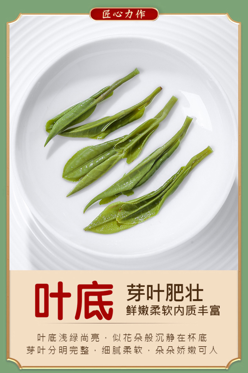 明前龙井茶2026新茶杭州高山绿茶春茶浓香型茶叶250g