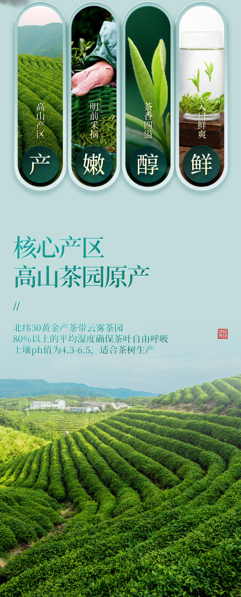 龙井茶2026新茶正宗杭州雨前豆香绿茶茶叶春茶500g