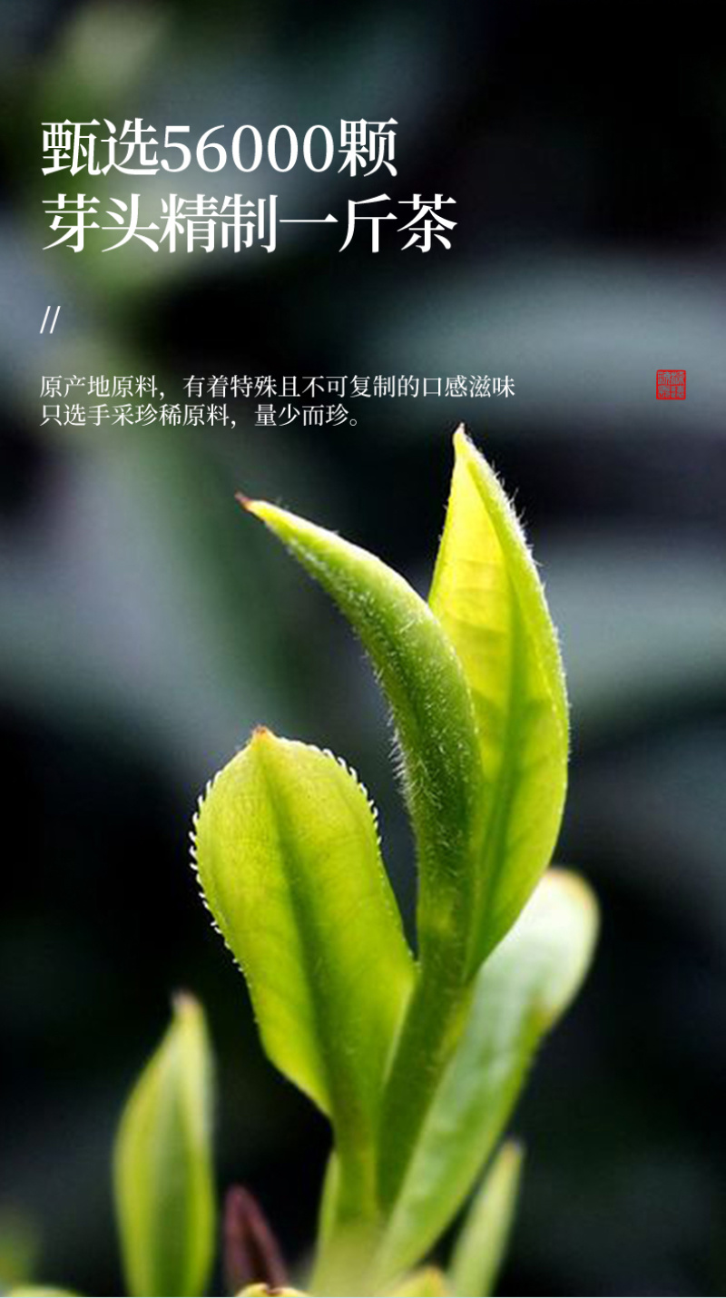 龙井茶2026年新茶叶正宗杭州明前龙井浓香型绿茶500g