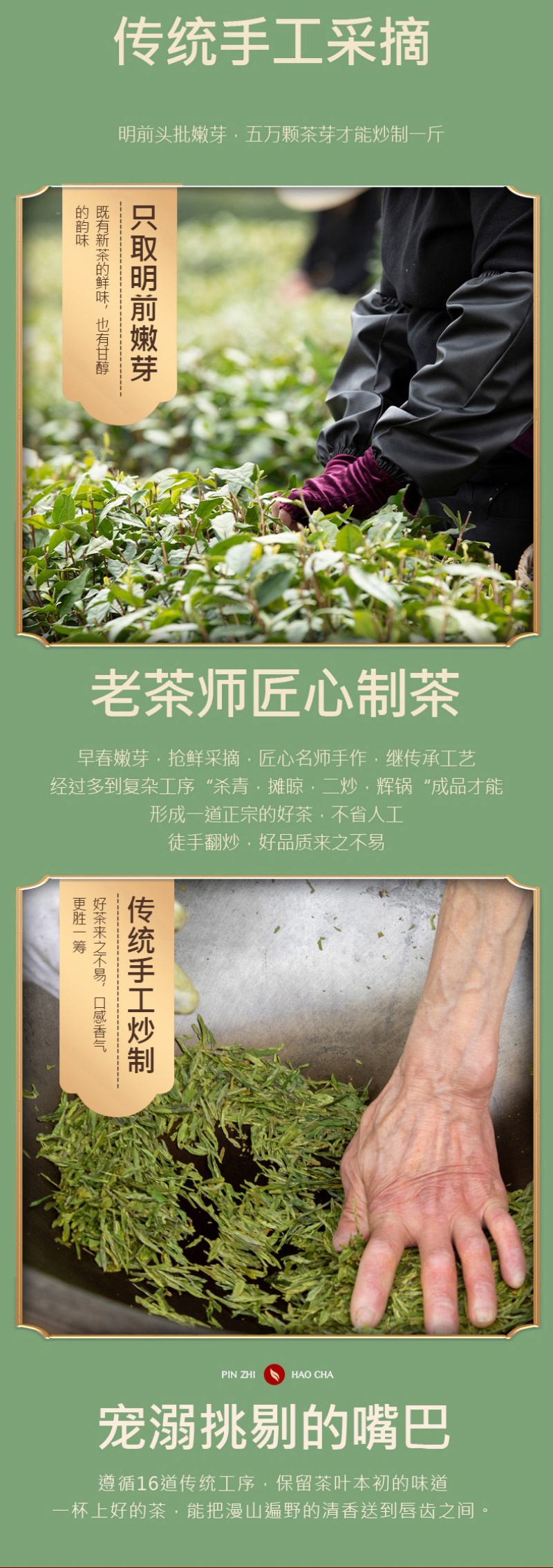 龙井茶2026新茶明前绿茶龙井豆香春茶罐装浓香型杭州茶叶