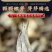 茶叶茉莉花茶2026新茶高山烘青绿茶浓香型花草茶500g