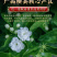 茶叶茉莉花茶2026新茶高山烘青绿茶浓香型花草茶500g