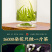 茶叶茉莉花茶2026新茶高山烘青绿茶浓香型花草茶500g