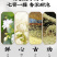 茉莉龙珠茶叶新茶正宗浓香型茉莉花茶冷泡飘雪绿茶250g