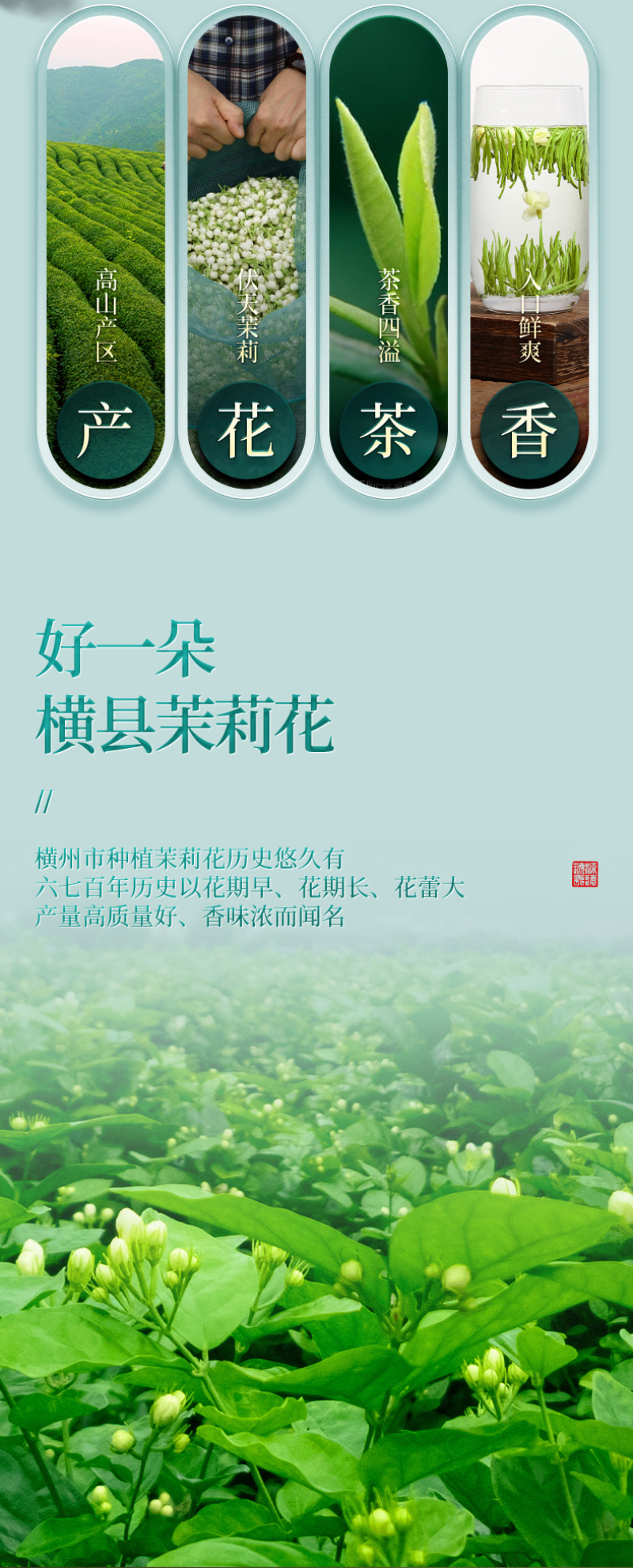 新茶茉莉花茶针王全芽浓香型茉莉银针金针大白毫罐装500g