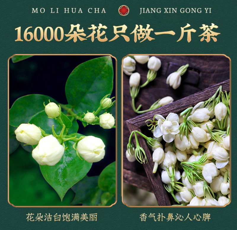 茉莉花茶浓香型2026新茶广西横县茉莉飘雪茶叶250g