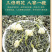 茉莉花茶浓香型2026新茶广西横县茉莉飘雪茶叶250g