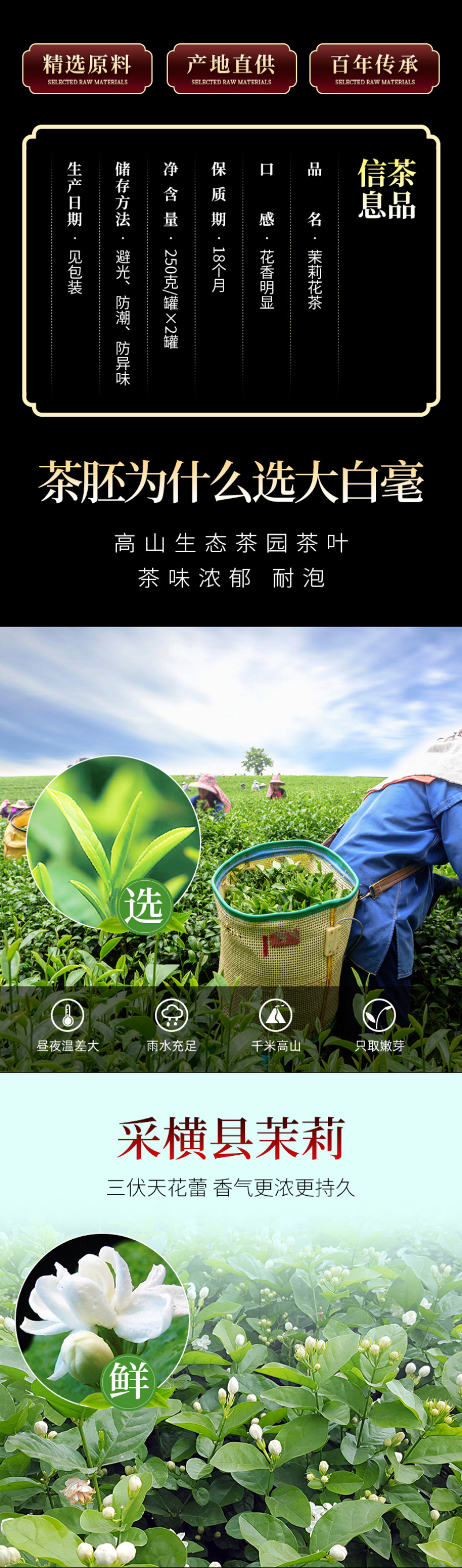 茉莉花茶罐装浓香型花茶2026新茶广西横县茶叶500g