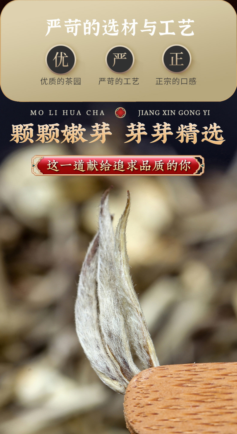 飘雪茉莉花茶2026新茶绿茶茉莉横县罐装500g