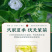 飘雪茉莉花茶2026新茶绿茶茉莉横县罐装500g