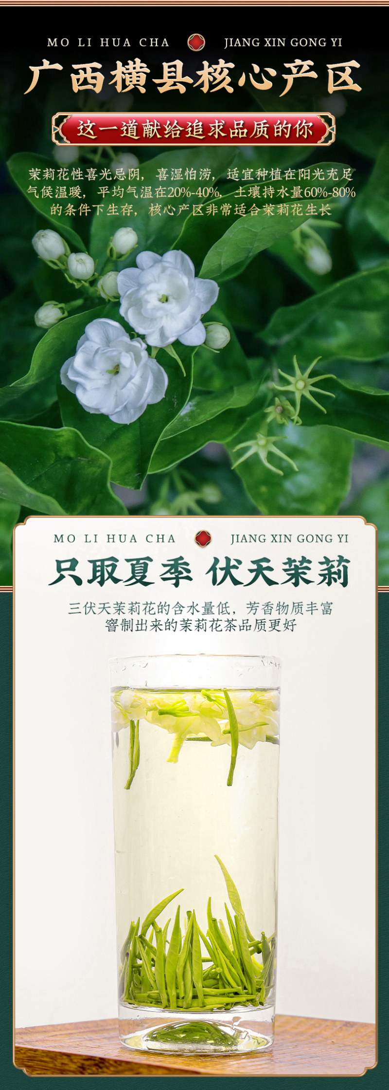 飘雪茉莉花茶2026新茶绿茶茉莉横县罐装500g