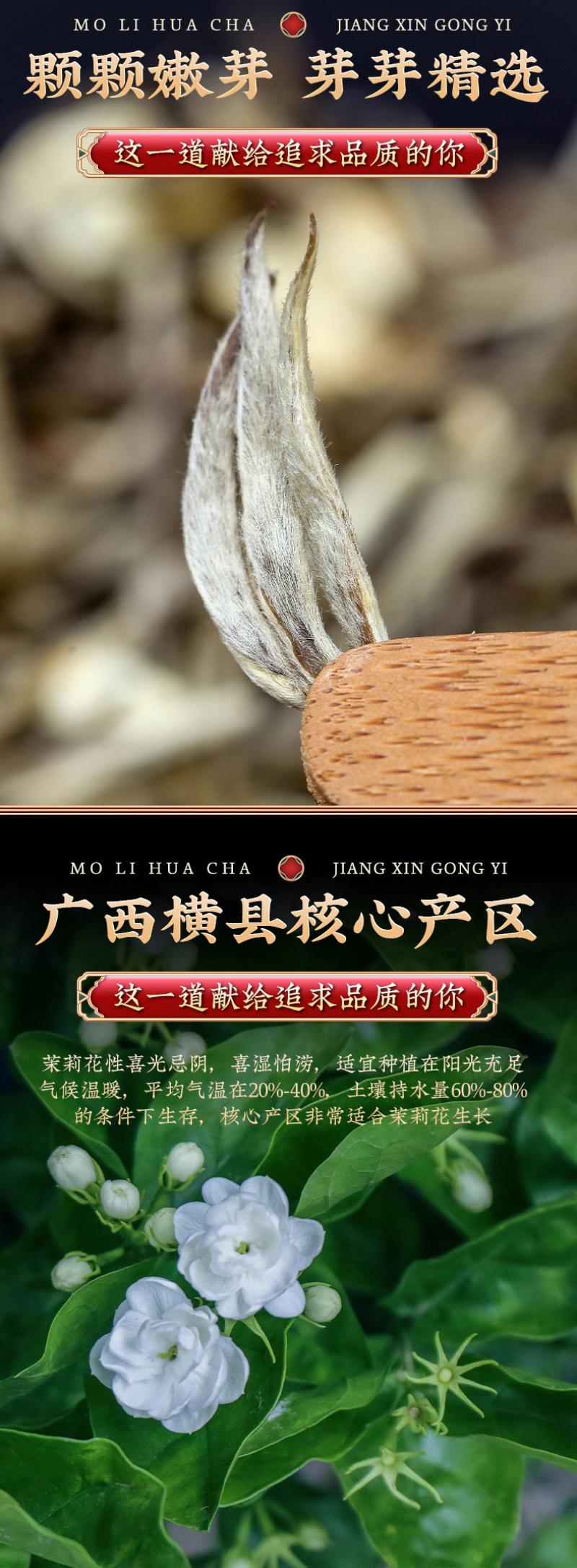 茉莉花茶2026新茶浓香型飘雪绿茶横县花茶罐装500g