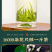 茉莉花茶2026新茶浓香型飘雪绿茶横县花茶罐装500g
