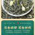 茉莉花茶2026新茶浓香型飘雪绿茶横县花茶罐装500g