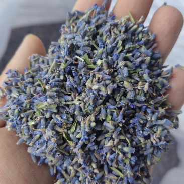 薰衣草一级选货蓝花批发各种花茶