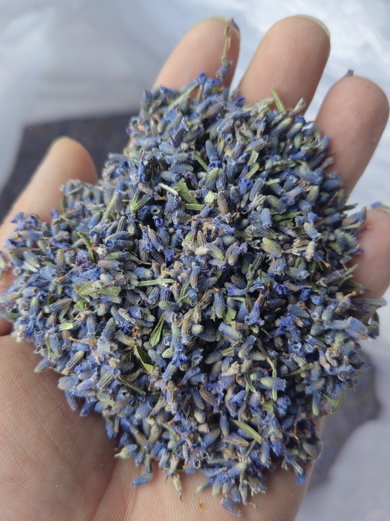 薰衣草一级选货蓝花批发各种花茶