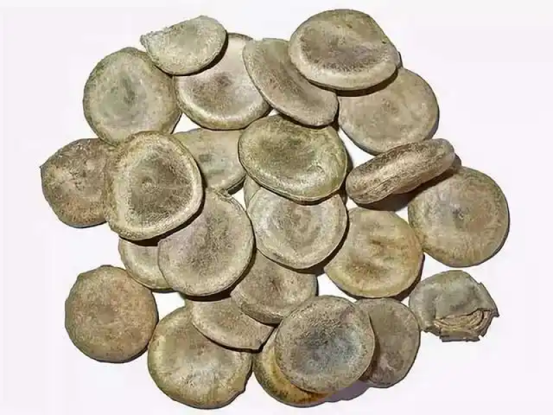生川草中药乌药