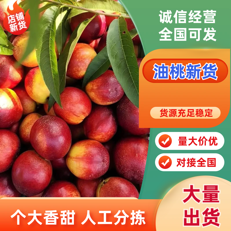 油桃品质保证服务周到产地直发价格美丽
