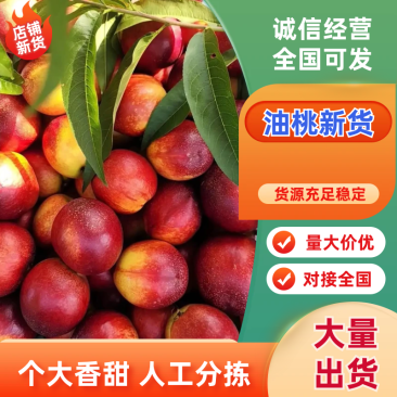 油桃品质保证服务周到产地直发价格美丽