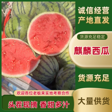 精品美都麒麟西瓜大量供应品质保证支持视频看货量大价优