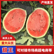 河北精品甜王大量供货产地直发价格优惠欢迎来电洽谈