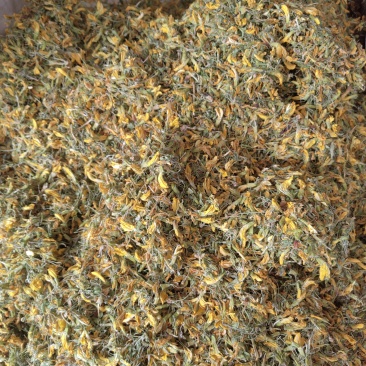旋复花统货野生含量够大货