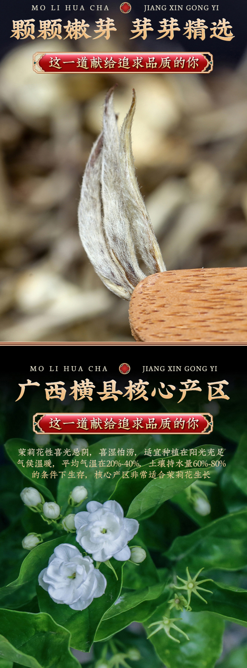 新茶茉莉花茶飘雪茶叶浓香型飘雪散装横县绿茶500g