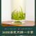 新茶茉莉花茶飘雪茶叶浓香型飘雪散装横县绿茶500g