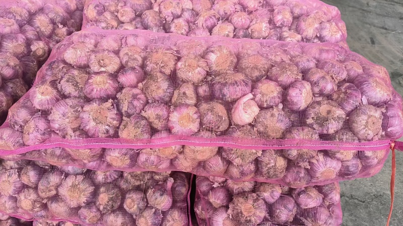 精品紫皮大蒜干度刚好耐储存运输货量大接批发电商团购代发可
