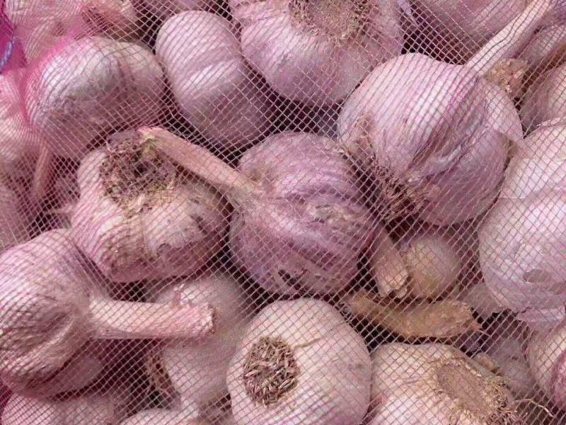 精品紫皮大蒜干度刚好耐储存运输货量大接批发电商团购代发可