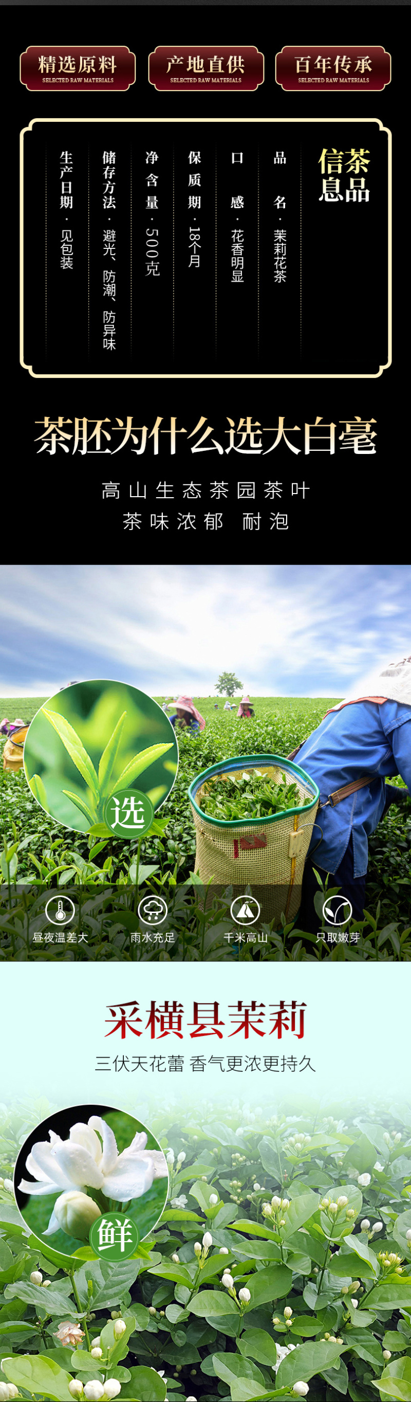 2026茉莉花茶新茶叶浓香茉莉飘雪绿茶散装礼盒装500g