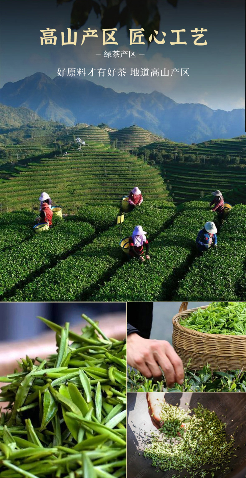明前碧螺春茶叶2026年新茶苏州高山绿茶浓香型500g
