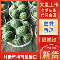 冮夏区大棚西瓜嘉秀西瓜产地直发品质保障对接全国等