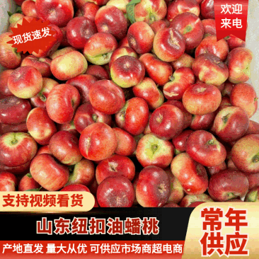 【回头客高】山东纽扣蟠桃/小蟠桃/油蟠桃/纽扣油蟠桃价低
