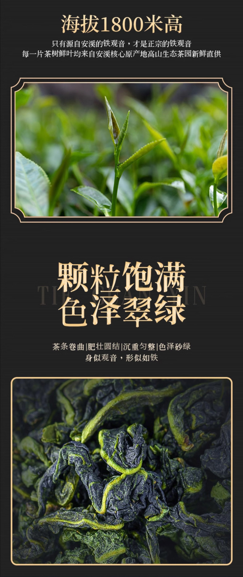 2026新茶安溪铁观音茶叶浓香型乌龙茶礼盒装500克