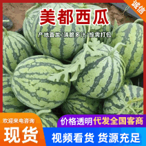 四川美都/美都西瓜/无籽西瓜，对接全国商超量大从优