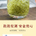 2026碧螺春新茶绿茶茶叶花果清香型碧螺春明前嫩芽罐装
