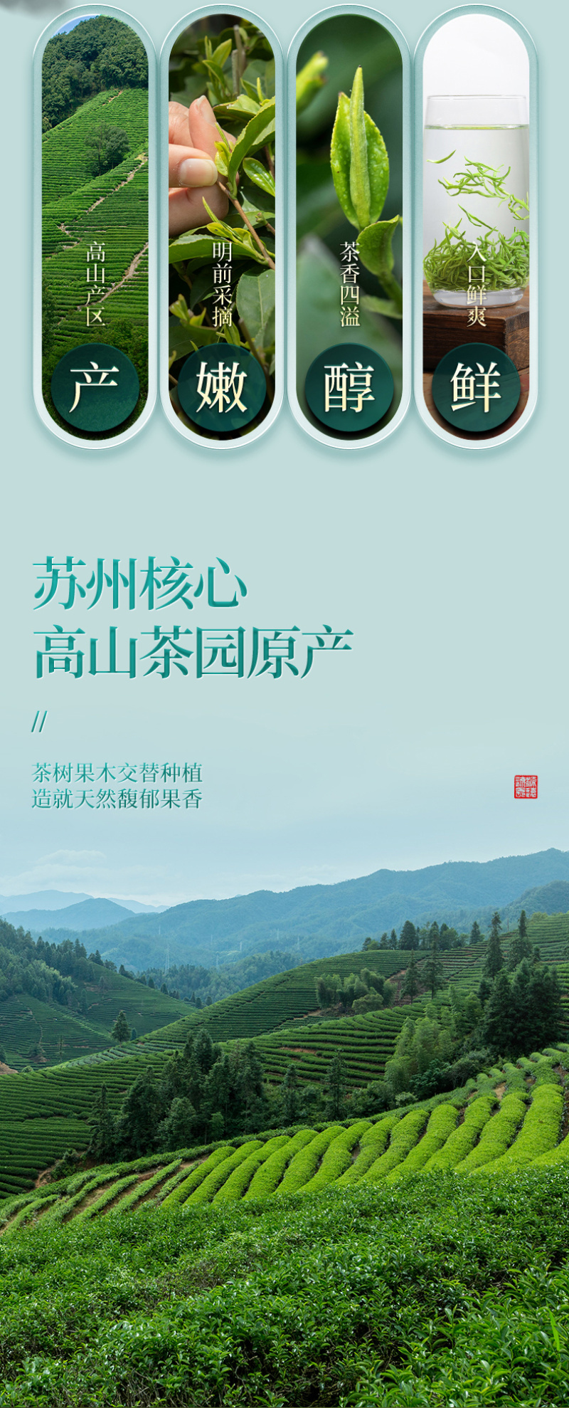 新茶正宗苏州明前碧螺春浓香型绿茶嫩芽高山茶叶罐装500g