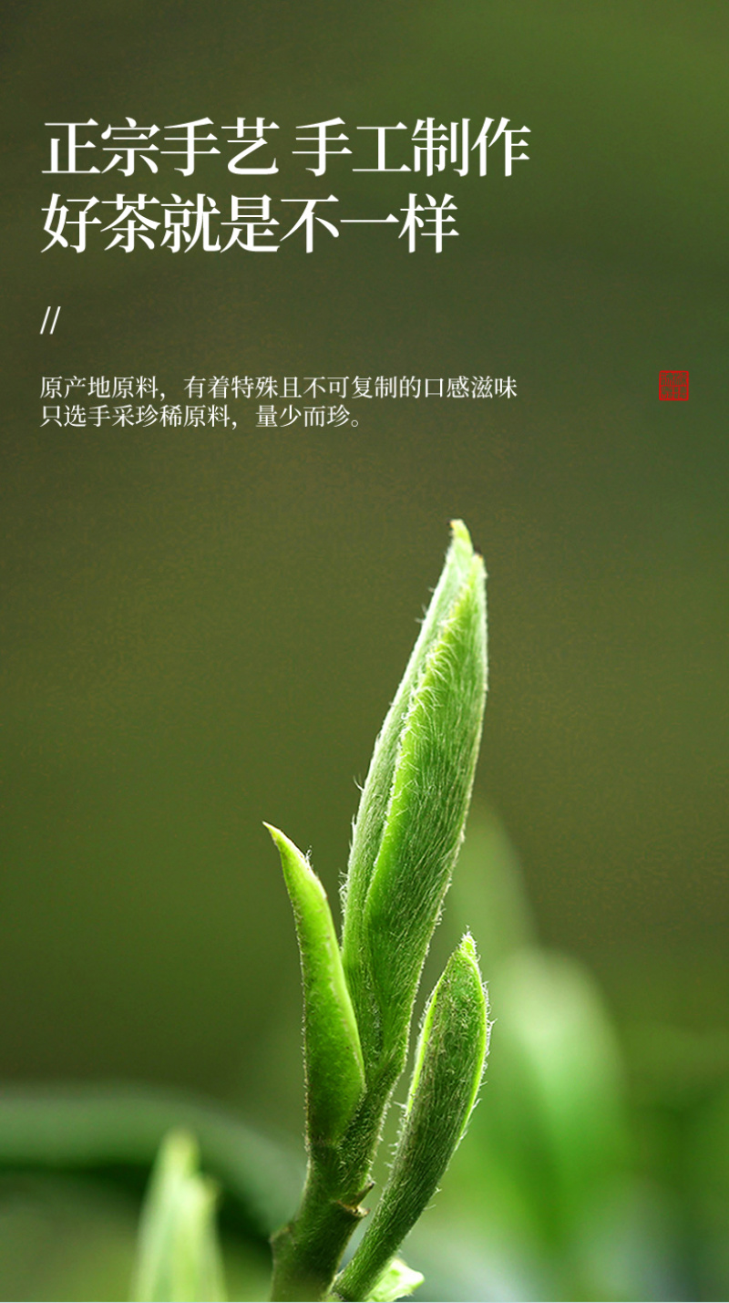 新茶正宗苏州明前碧螺春浓香型绿茶嫩芽高山茶叶罐装500g
