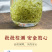 正宗碧螺春2026明前春茶新茶叶高山绿茶礼盒装500g