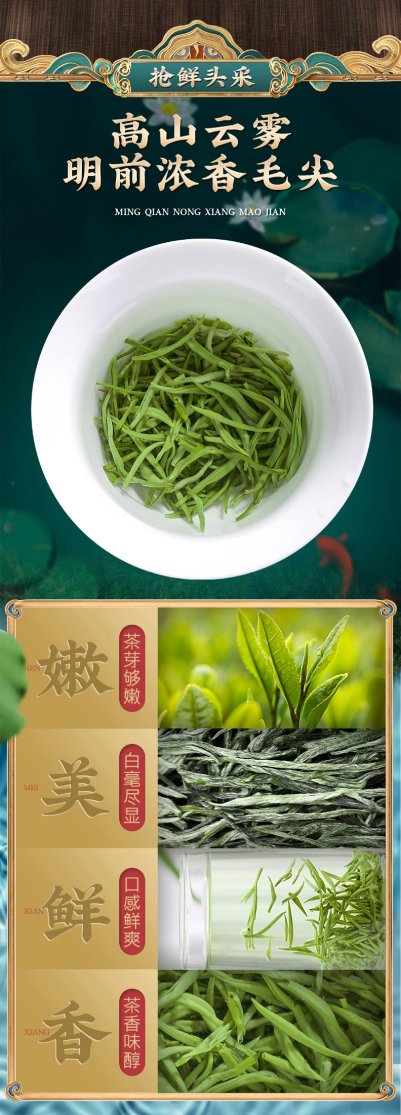 明前毛尖茶新茶浓香型高山绿茶春茶嫩芽茶叶罐装500克