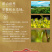 毛尖茶叶2026新茶明前春茶浓香型炒青毛尖绿茶嫩芽茶叶