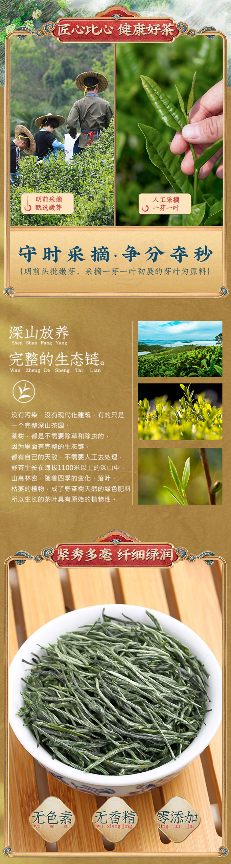 毛尖茶叶2026新茶明前春茶浓香型炒青毛尖绿茶嫩芽茶叶