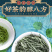 明前毛尖茶新茶浓香型高山绿茶春茶嫩芽散装罐装茶叶250g